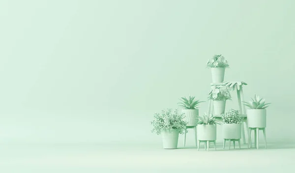 多くの植物の鍋 プレーンモノクロームのパステルグリーンの装飾花瓶 コピースペース付きの明るい背景 ウェブページ プレゼンテーションや画像フレームの背景のための3Dレンダリング ミニマリストインテリア — ストック写真