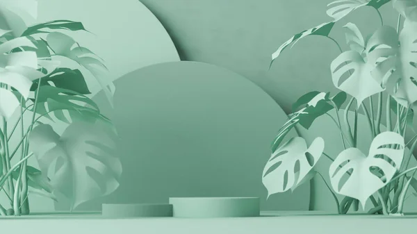 Minimální Jeviště Kulatým Pódiem Tropickými Palmami Monstrózními Listy Abstraktním Pozadím — Stock fotografie