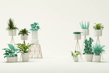 Bahçedeki bitkilerin tek renkli beyaz renklerde büyümesi ve bakımı. Kopyalama alanı olan ışık arkaplanı. Resim çerçevesi arkaplanı için 3D görüntüleme, minimal, mevsimlik iş posteri, afiş