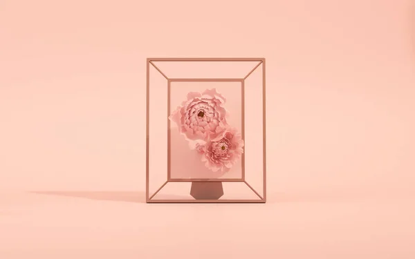 Dobogós Kijelző Pasztell Rózsaszín Háttér Bazsarózsa Virág Pálma Levél Keret — Stock Fotó