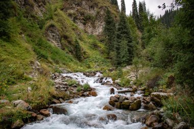 the river flows among the stones in the forest