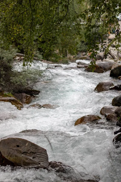 the river flows among the stones in the forest