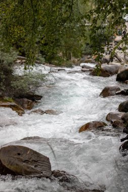the river flows among the stones in the forest