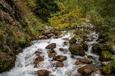 the river flows among the stones in the forest
