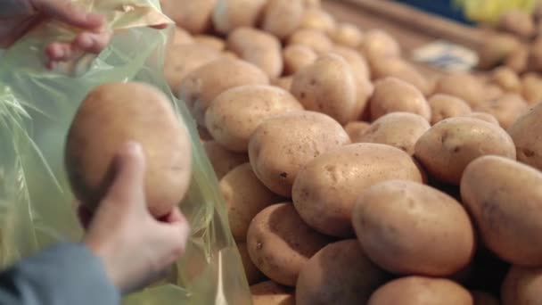 Vrouw handen kiezen aardappelen en zet het in plastic zak op de boerderij markt. Langzame beweging — Stockvideo