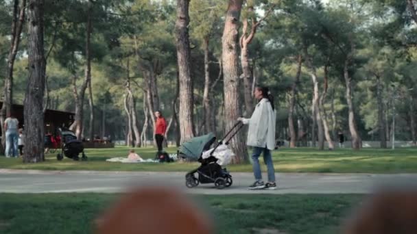 Madre empujar un cochecito bebé y caminar en el parque en la primavera.Concepto de maternidad — Vídeos de Stock