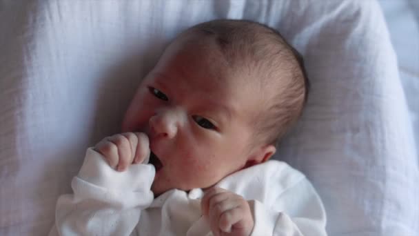 하얀 옷을 입은 신생아가 손가락을 빨아 먹는다. 배고픈 귀여운 아기가 침대에 누워 있다. — 비디오