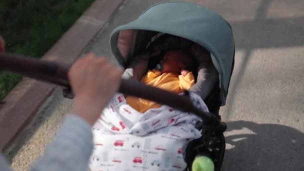 公園を歩いている間、赤ん坊はベビーカーで寝ています。ママはベビーカーを押して — ストック動画