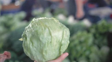 Tarla pazarındaki tezgahta marul seçen tanınmamış alıcının arka görüntüsü. Yavaş çekim