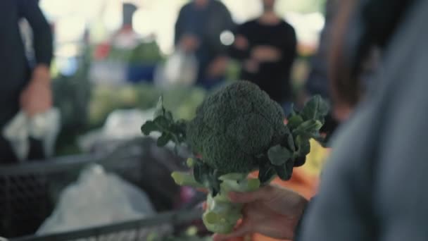 Een vrouw die broccoli koopt op de boerderijmarkt. Langzame beweging. Achteraanzicht. Vrouw geeft broccoli aan verkoper met zwarte handschoen te wegen. — Stockvideo