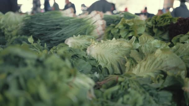 Fresh organic vegetables and herbs at the farmers market. — Stockvideo