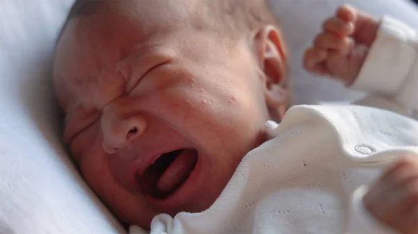 Close up view of crying newborn baby in white. Baby calls parents to feed him. Baby moves his arms and legs — стоковое фото