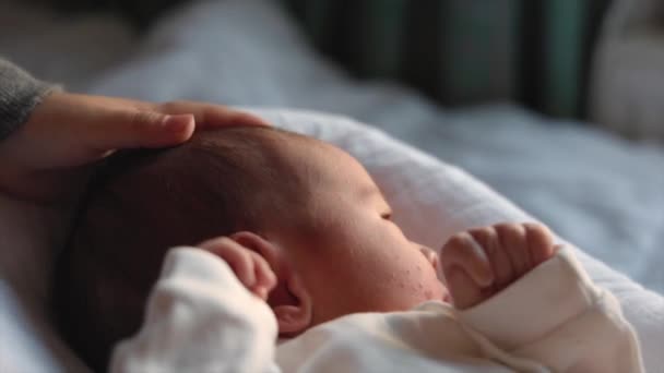 Kinder streicheln mit der Hand den Kopf eines Neugeborenen. Geschwisterbeziehung. Elternschaft — Stockvideo