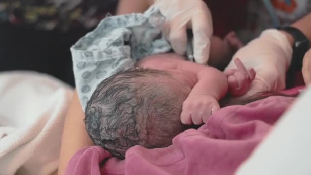 Врач осматривает новорожденного ребенка, пока он лежит на своей матери — стоковое видео