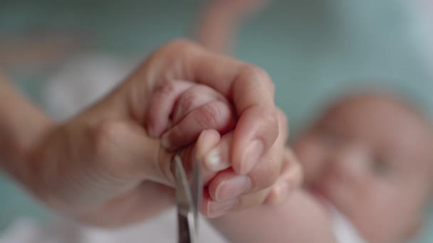 Mother cutting babys nails. Closeup view — Vídeos de Stock