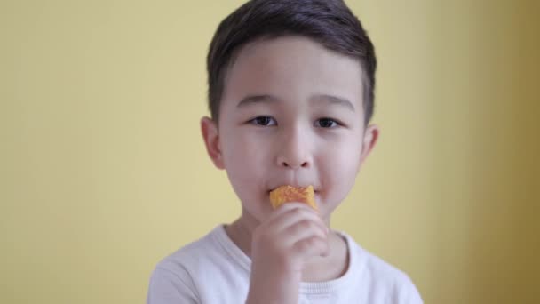 Adorable asian boy eats a piece of nuggets on colour background — Stock Video