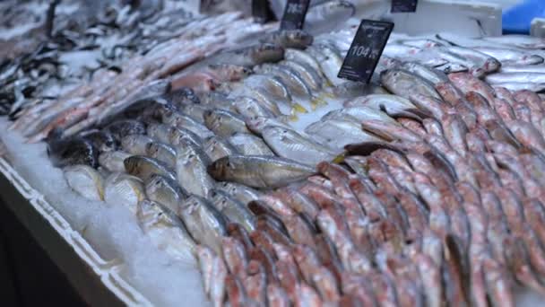 Ψάρια στον πάγο σε ράφια σούπερ μάρκετ — Αρχείο Βίντεο