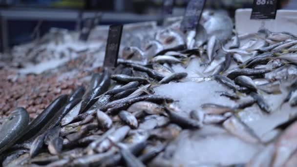 Pescado sobre hielo en los estantes de un supermercado — Vídeos de Stock
