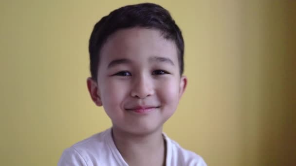Lindo chico sonriendo y cubriendo su cara en el fondo de color — Vídeos de Stock