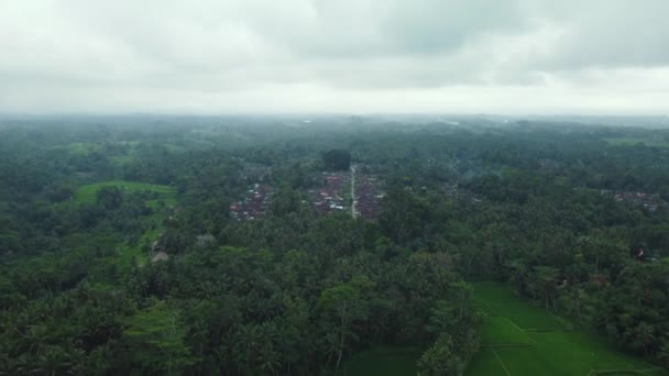 Hava Aracı Bali Deki Yeşil Pirinç Tarlalarına Ormana Bakıyor Yüksek — Stok video