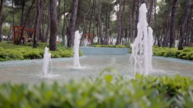 Fountain water jet in the park. High quality 4k footage