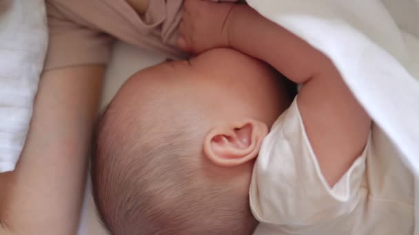 Baby Fall Asleep Holding Mom Bed High Quality Footage — Stockvideo