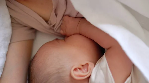 Bebê Adormecer Segurando Mamãe Cama Imagens Alta Qualidade — Fotografia de Stock