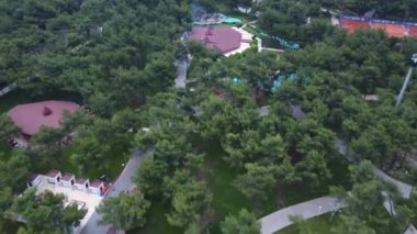 Drone aerial view to green park in town. High quality 4k footage