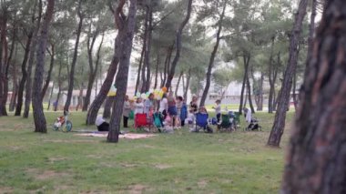 Birthday picnic celebration on grass in the park. High quality 4k footage