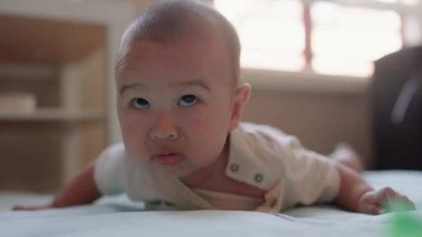 Baby Boy Lies Stomach Trying Hold His Head High Quality — Stock videók