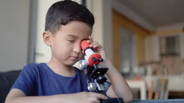 Handsome preschooler studies the microcosm through a microscope. High quality 4k footage