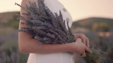 Close up view of bouquet of lavender on womans hands. Slow-motion. High quality 4k footage