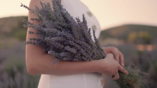 Close View Bouquet Lavender Womans Hands Slow Motion High Quality — Stock video