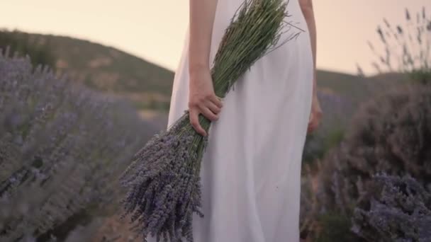 Slow Motion Rear View Woman Walking Lavender Fields High Quality — Vídeo de stock