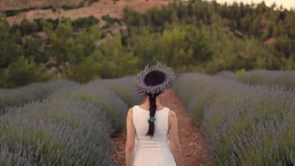 Slow Motion Rear View Woman Walking Lavender Fields High Quality — Stock video