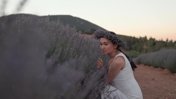 Beautiful Woman Enjoying Lavender Aroma Lavender Fields High Quality Footage — Stock video