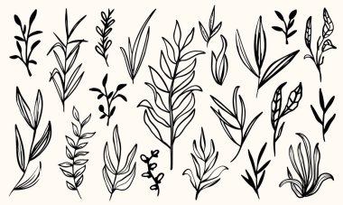 El yapımı yapraklar. vektör illüstrasyonu.