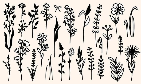 Set Mit Handgezeichneten Floralen Elementen Doodle Stil Vektorillustration — Stockvektor