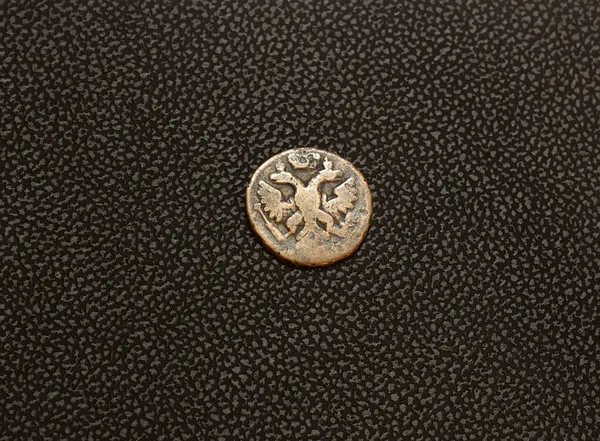 Album Pro Sběratelné Mince Numismatika — Stock fotografie