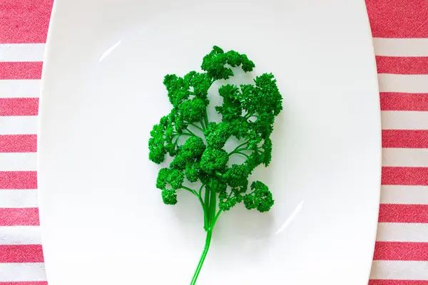 Parsley Charge Vitamins Whole Day — Stock Photo, Image