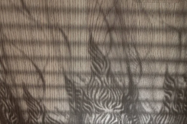 木の背景の影のパターン — ストック写真