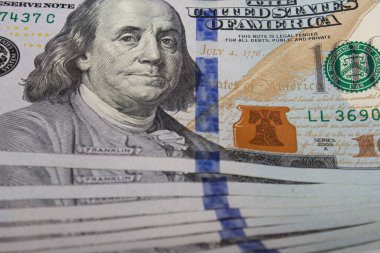 ABD 'nin ulusal para birimi.