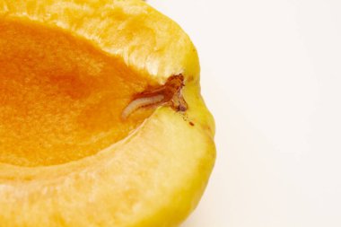 Kayısı, ananas çeşidi, içinde solucan var.