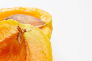 Kayısı, ananas çeşidi, içinde solucan var.