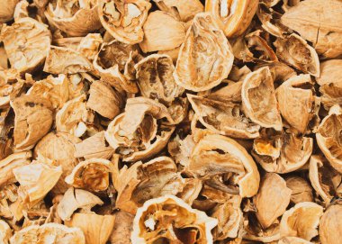 walnut close-up, broken nut, walnut shell