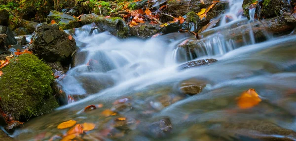 Ροή Νερού Στο Δάσος Φθινοπωρινό Τοπίο Νερό Αργή Κίνηση — Φωτογραφία Αρχείου