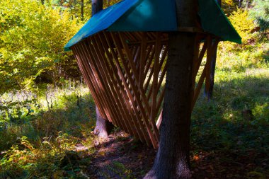 Vahşi doğada geyik beslemek, kışın geyik için yiyecek eksikliği.