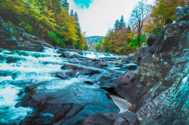 Yaremche şelalesi, Karpatlar 'daki Prut dağı nehri. Ukrayna