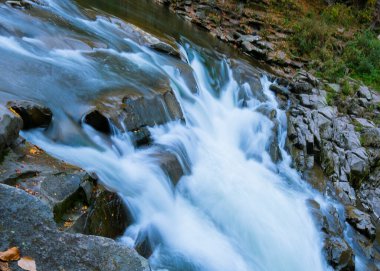 Yaremche şelalesi, Karpatlar 'daki Prut dağı nehri. Ukrayna