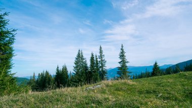 Güneşli bir günde güzel bir doğa manzarası. Bulutlar uzak tepenin üstünde. Karpat Dağları. Ukrayna. Avrupa.